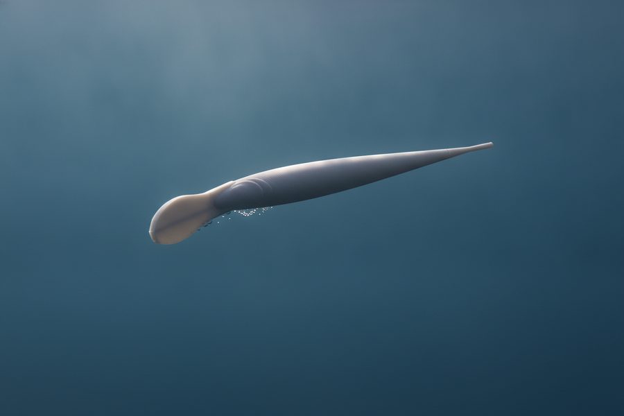 Raw printed crankbait running underwater